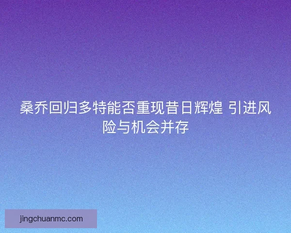 桑乔回归多特能否重现昔日辉煌 引进风险与机会并存